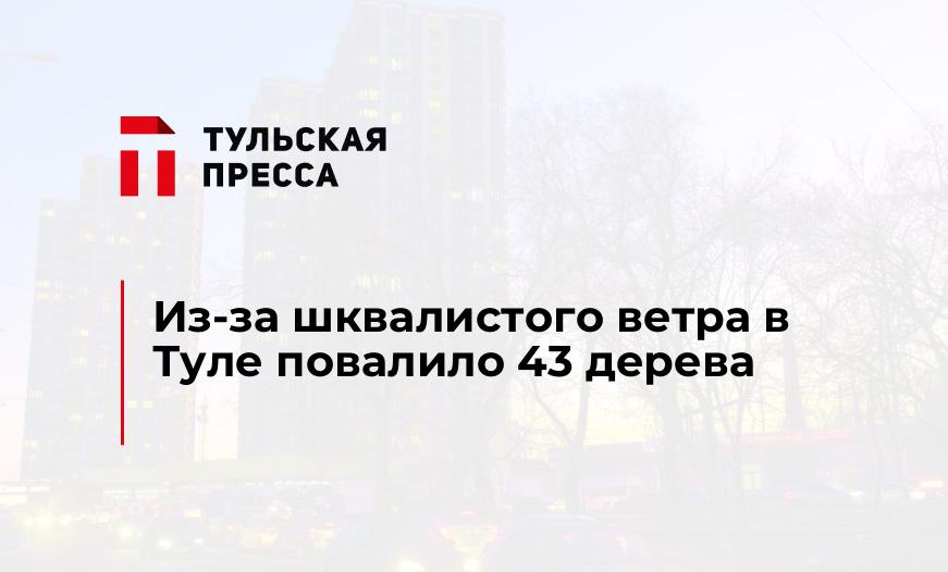 Из-за шквалистого ветра в Туле повалило 43 дерева