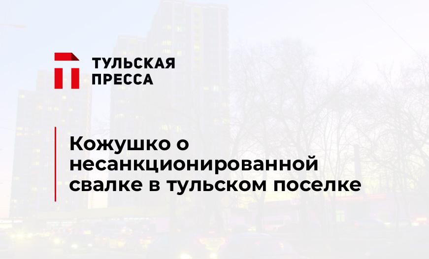 Кожушко о несанкционированной свалке в тульском поселке