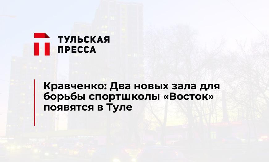 Кравченко: Два новых зала для борьбы спортшколы "Восток" появятся в Туле