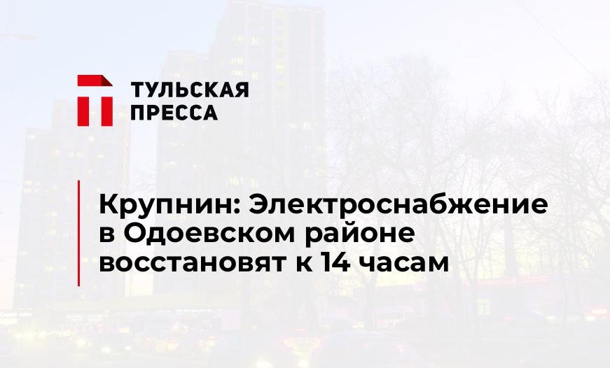 Крупнин: Электроснабжение в Одоевском районе восстановят к 14 часам