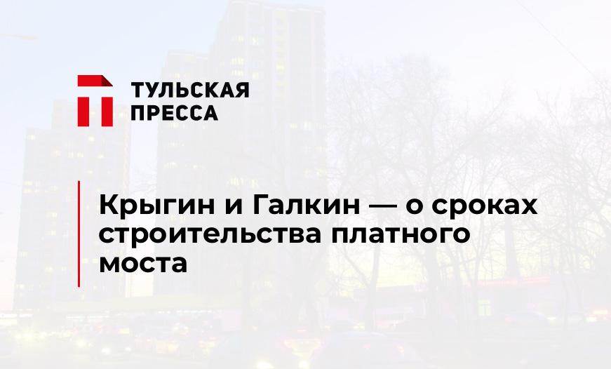 Крыгин и Галкин - о сроках строительства платного моста