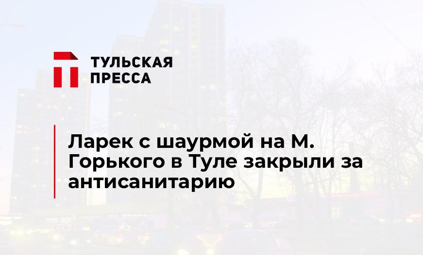 Ларек с шаурмой на М. Горького в Туле закрыли за антисанитарию