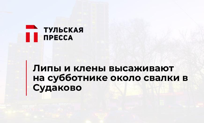 Липы и клены высаживают на субботнике около свалки в Судаково