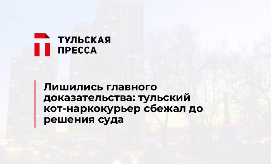 Лишились главного доказательства: тульский кот-наркокурьер сбежал до решения суда