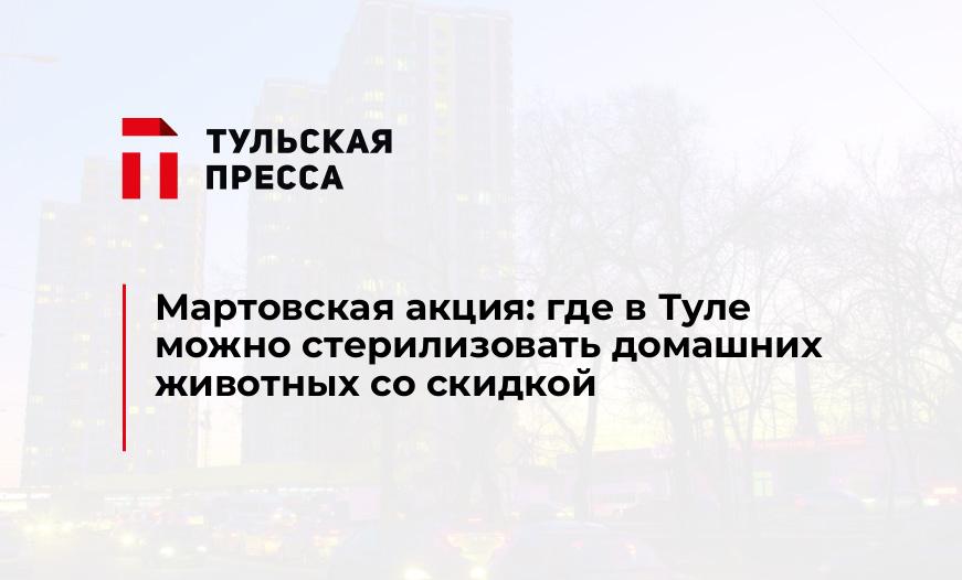 Мартовская акция: где в Туле можно стерилизовать домашних животных со скидкой 