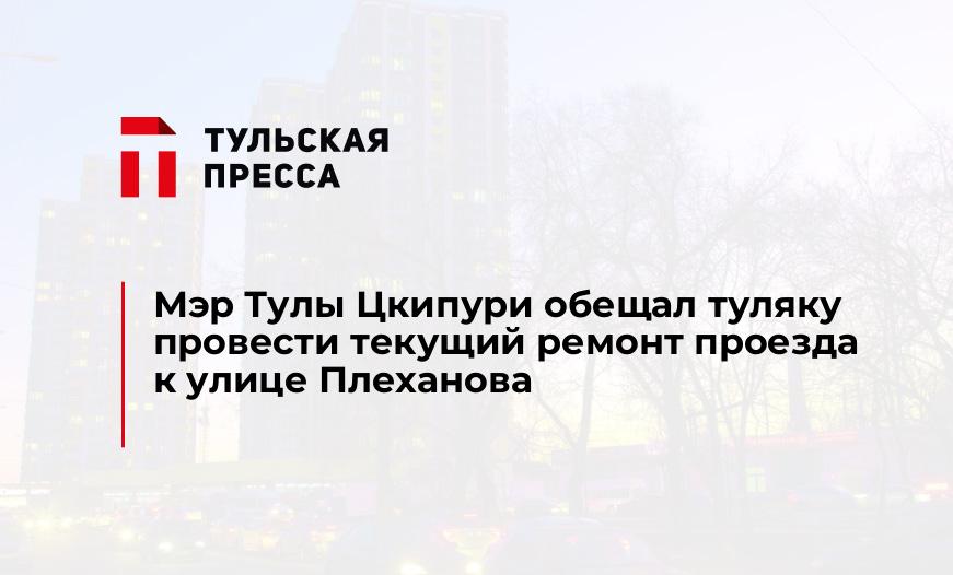 Мэр Тулы Цкипури обещал туляку провести текущий ремонт проезда к улице Плеханова 