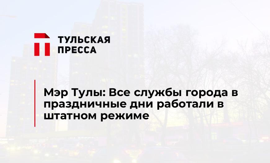 Мэр Тулы: Все службы города в праздничные дни работали в штатном режиме
