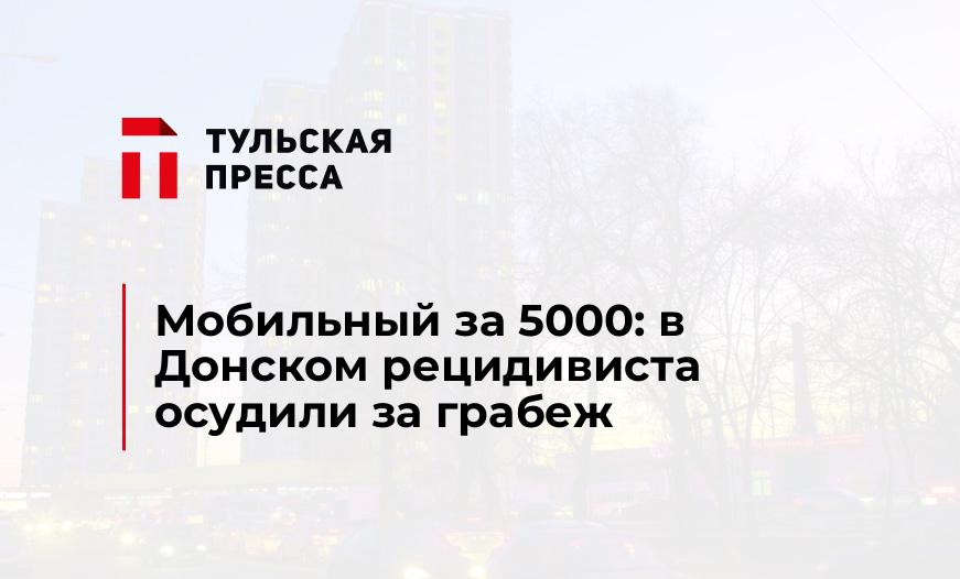 Мобильный за 5000: в Донском рецидивиста осудили за грабеж
