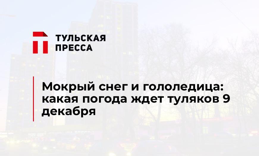 Мокрый снег и гололедица: какая погода ждет туляков 9 декабря