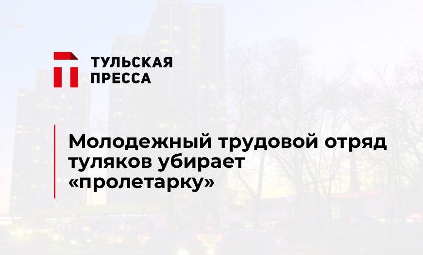 Молодежный трудовой отряд туляков убирает "пролетарку"
