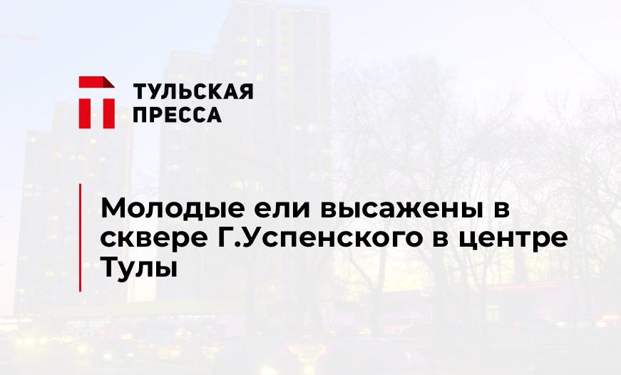 Молодые ели высажены в сквере Г.Успенского в центре Тулы