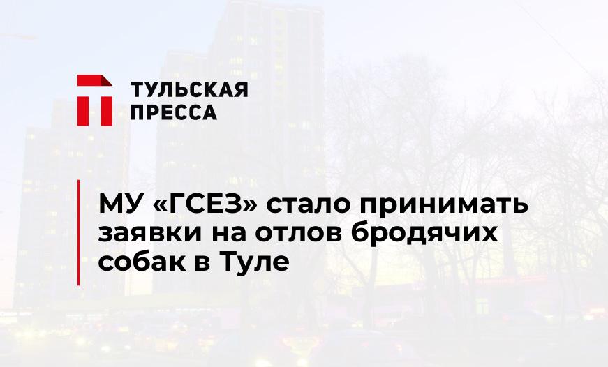МУ "ГСЕЗ" стало принимать заявки на отлов бродячих собак в Туле 