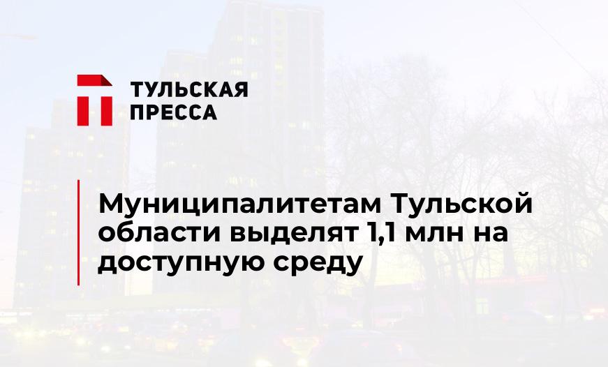 Муниципалитетам Тульской области выделят 1,1 млн на доступную среду