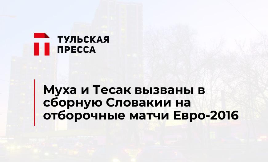 Муха и Тесак вызваны в сборную Словакии на отборочные матчи Евро-2016