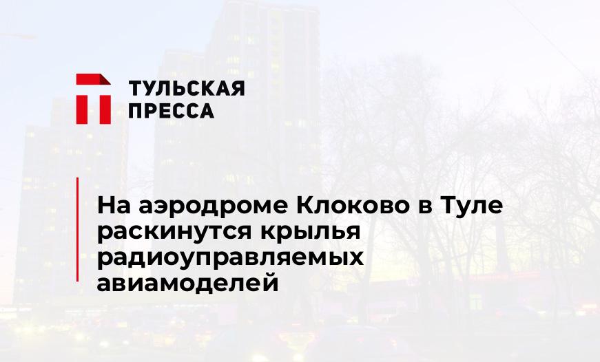 На аэродроме Клоково в Туле раскинутся крылья радиоуправляемых авиамоделей