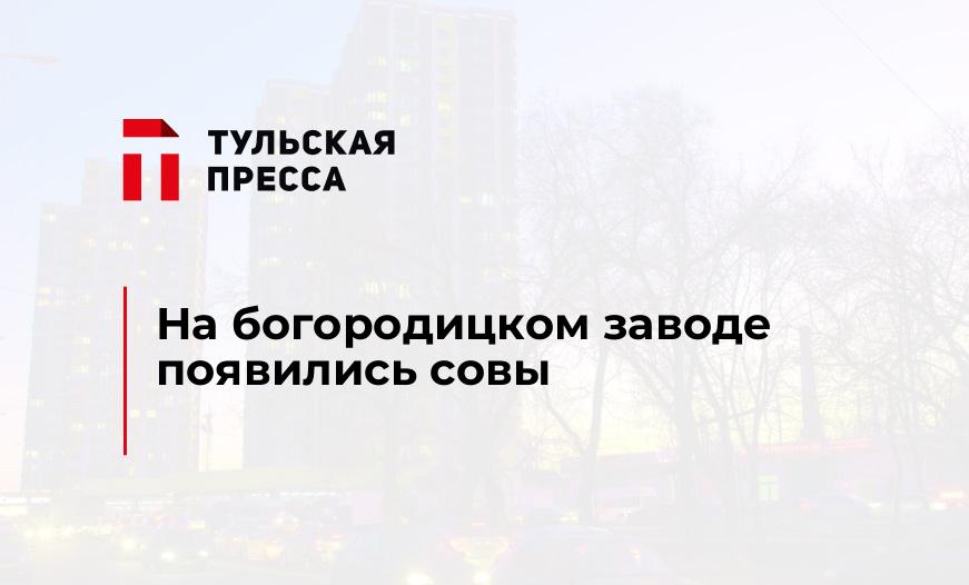 На богородицком заводе появились совы
