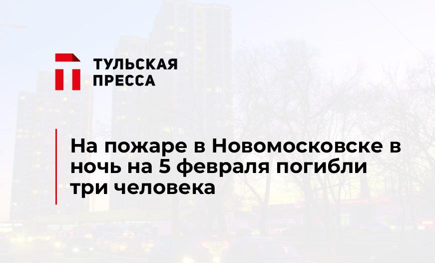 На пожаре в Новомосковске в ночь на 5 февраля погибли три человека
