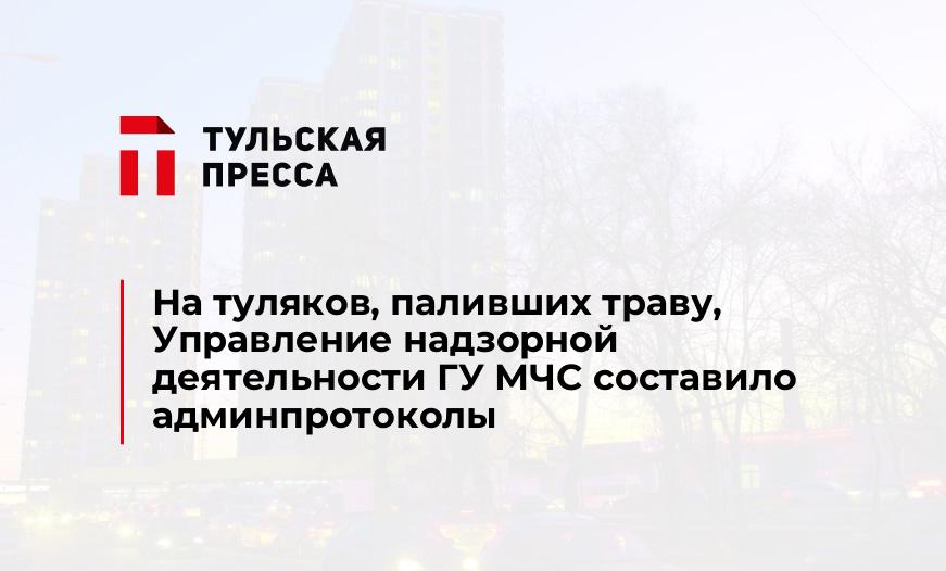 На туляков, паливших траву, Управление надзорной деятельности ГУ МЧС составило админпротоколы