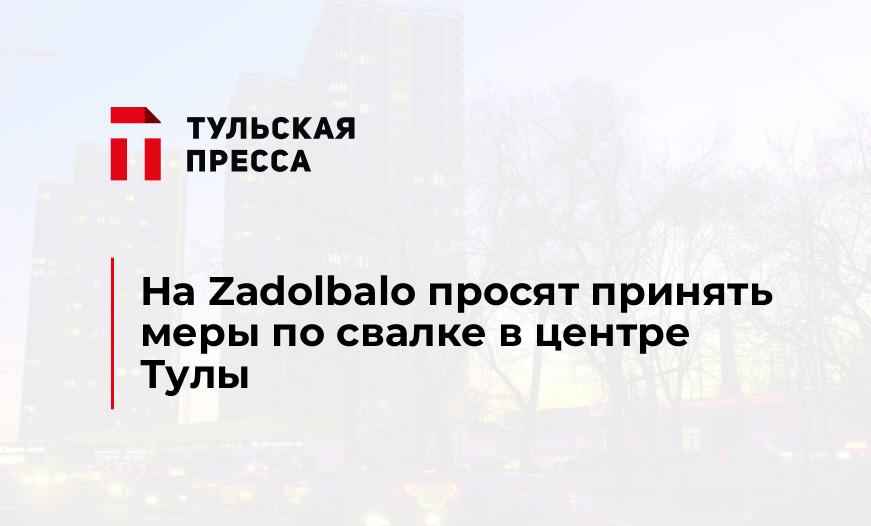 На Zadolbalo просят принять меры по свалке в центре Тулы