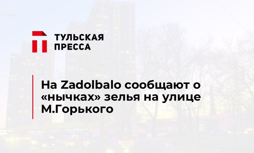 На Zadolbalo сообщают о "нычках" зелья на улице М.Горького