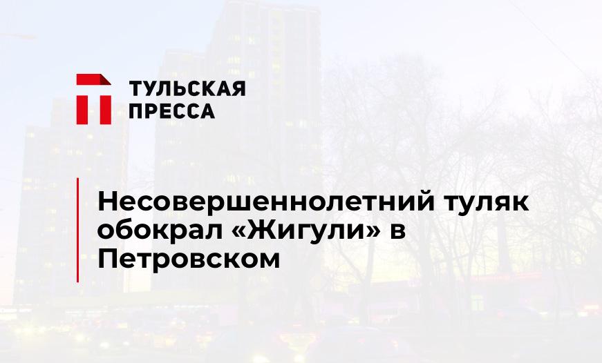 Несовершеннолетний туляк обокрал "Жигули" в Петровском