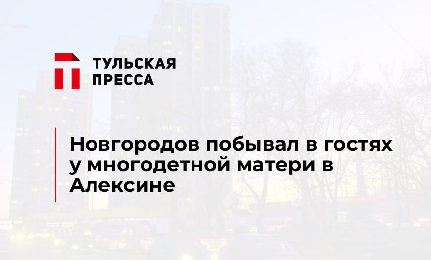 Новгородов побывал в гостях у многодетной матери в Алексине