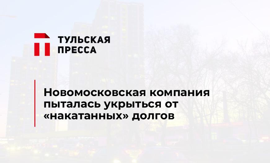 Новомосковская компания пыталась укрыться от "накатанных" долгов