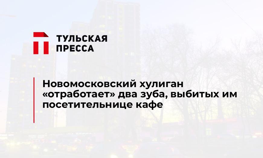 Новомосковский хулиган "отработает" два зуба, выбитых им посетительнице кафе