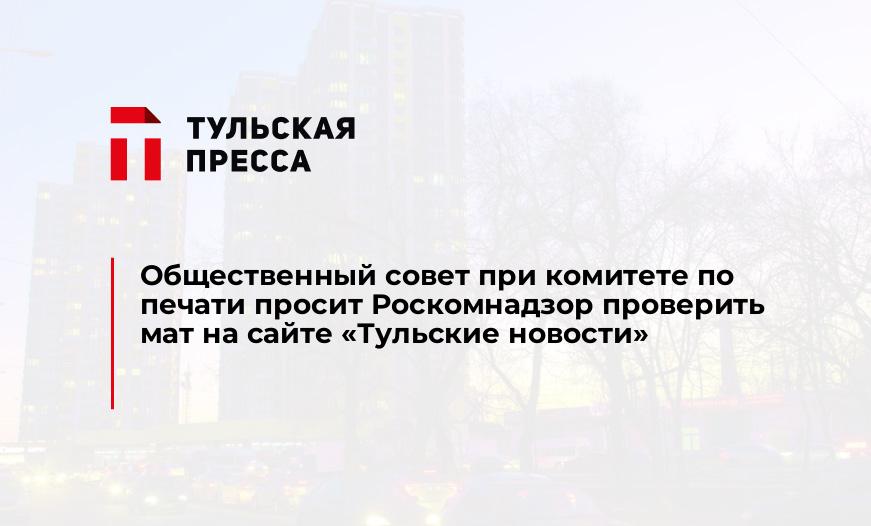 Общественный совет при комитете по печати просит Роскомнадзор проверить мат на сайте "Тульские новости"