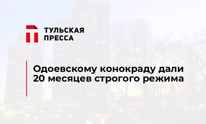 Одоевскому конокраду дали 20 месяцев строгого режима