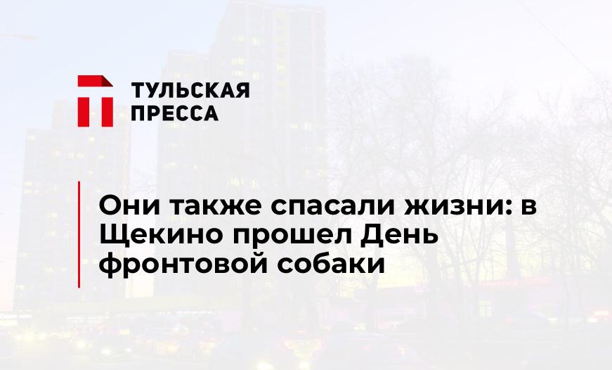 Они также спасали жизни: в Щекино прошел День фронтовой собаки