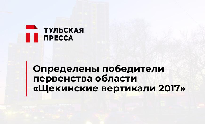 Определены победители первенства области «Щекинские вертикали 2017»