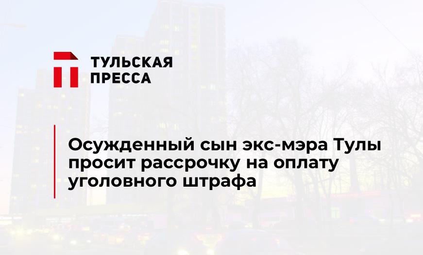 Осужденный сын экс-мэра Тулы просит рассрочку на оплату уголовного штрафа