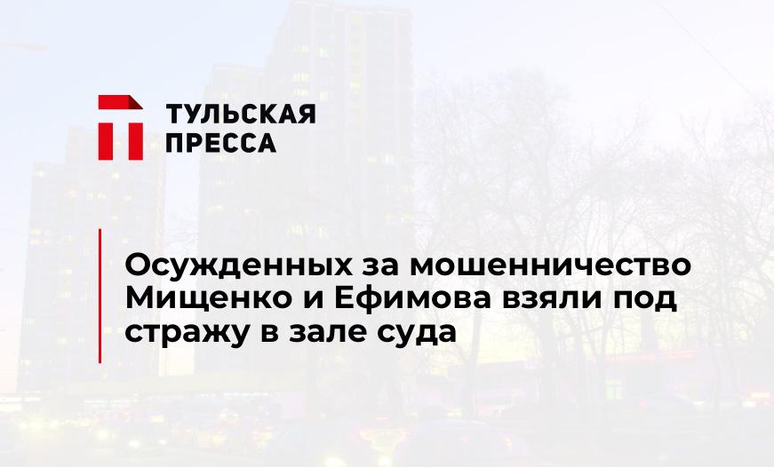 Осужденных за мошенничество Мищенко и Ефимова взяли под стражу в зале суда