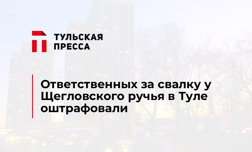 Ответственных за свалку у Щегловского ручья в Туле оштрафовали