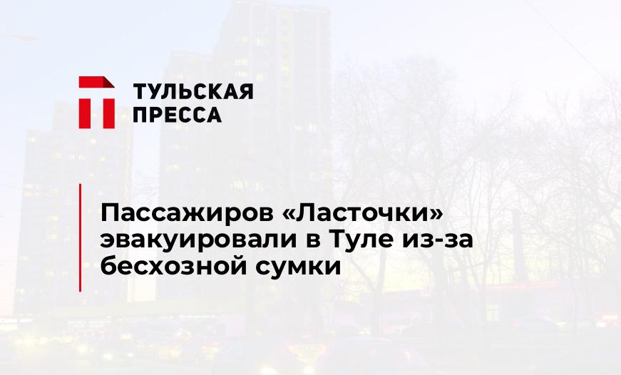 Пассажиров "Ласточки" эвакуировали в Туле из-за бесхозной сумки