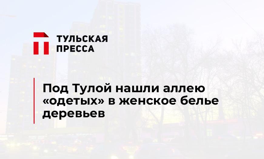 Под Тулой нашли аллею "одетых" в женское белье деревьев 