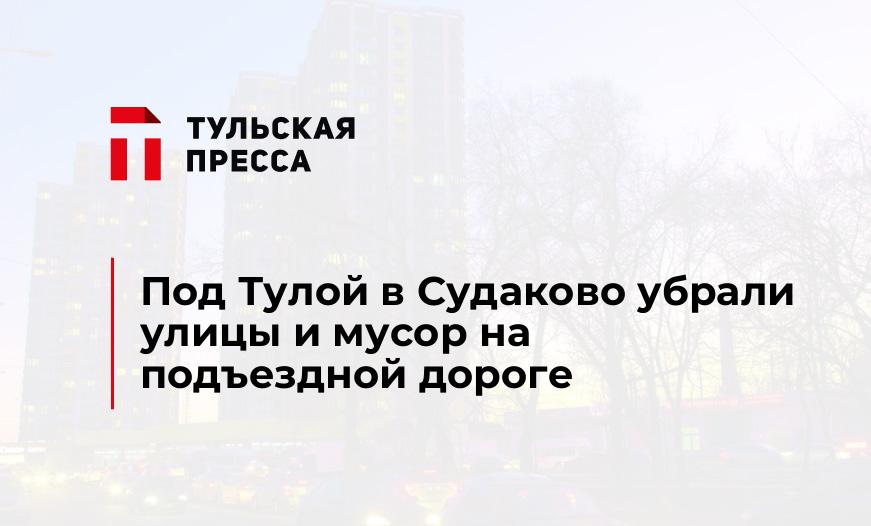 Под Тулой в Судаково убрали улицы и мусор на подъездной дороге