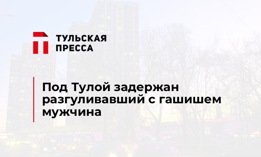 Под Тулой задержан разгуливавший с гашишем мужчина