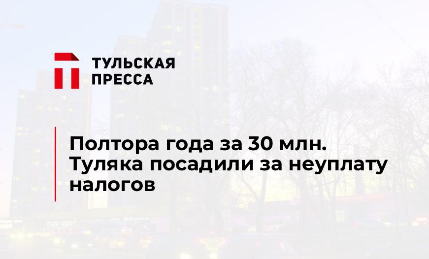 Полтора года за 30 млн. Туляка посадили за неуплату налогов