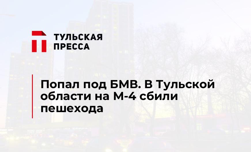 Попал под БМВ. В Тульской области на М-4 сбили пешехода
