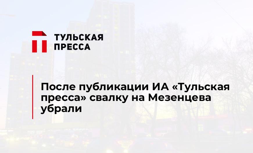 После публикации ИА "Тульская пресса" свалку на Мезенцева убрали