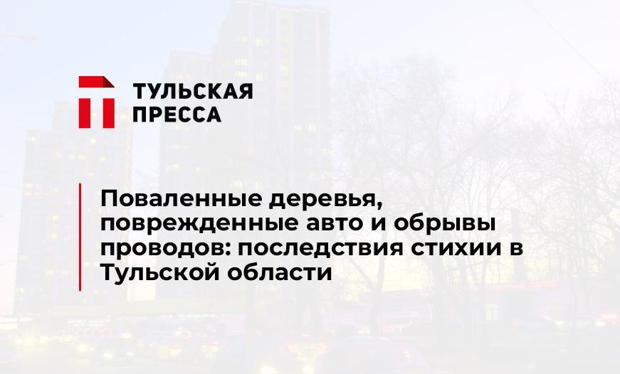 Поваленные деревья, поврежденные авто и обрывы проводов: последствия стихии в Тульской области