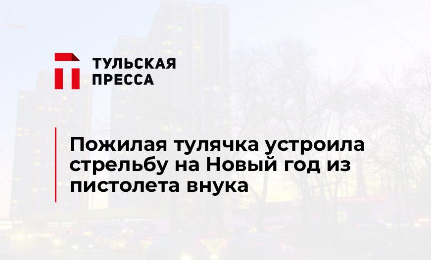 Пожилая тулячка устроила стрельбу на Новый год из пистолета внука