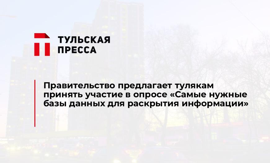 Правительство предлагает тулякам принять участие в опросе «Самые нужные базы данных для раскрытия информации»