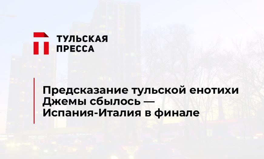 Предсказание тульской енотихи Джемы сбылось - Испания-Италия в финале