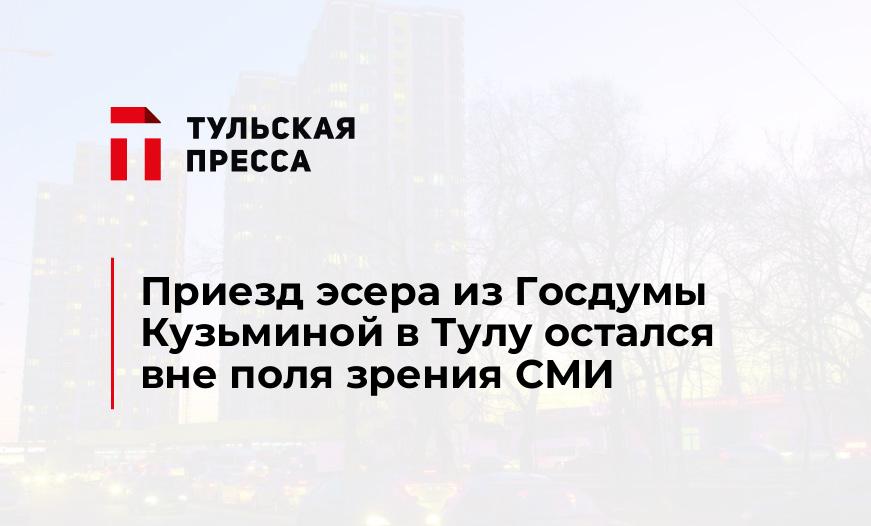 Приезд эсера из Госдумы Кузьминой в Тулу остался вне поля зрения СМИ