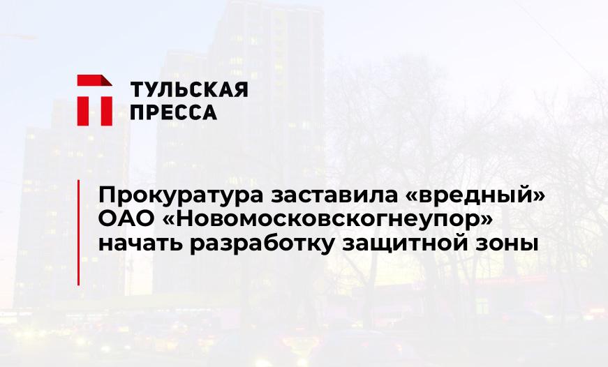 Прокуратура заставила "вредный" ОАО «Новомосковскогнеупор» начать разработку защитной зоны