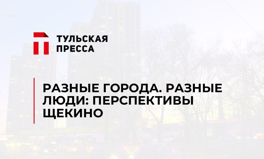 РАЗНЫЕ ГОРОДА. РАЗНЫЕ ЛЮДИ: ПЕРСПЕКТИВЫ ЩЕКИНО