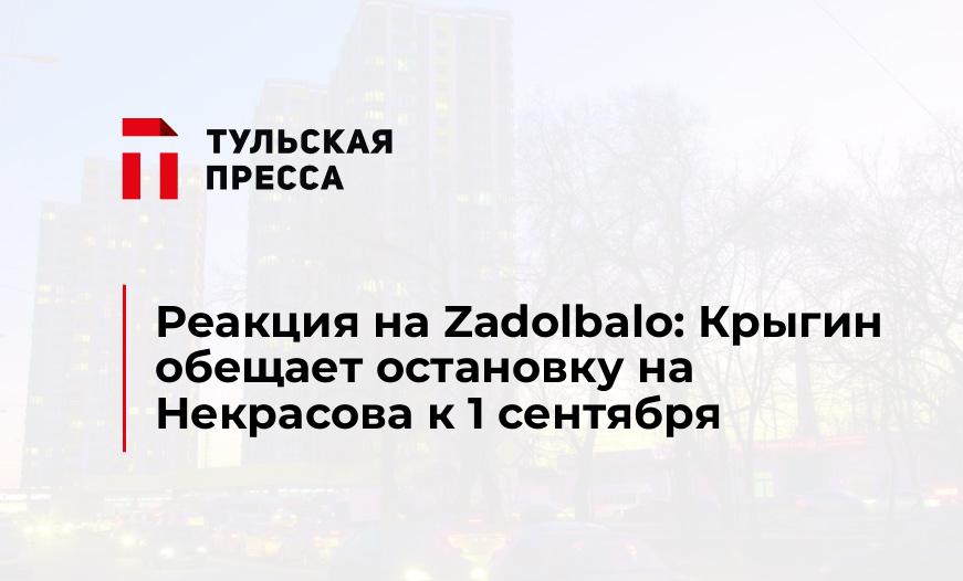 Реакция на Zadolbalo: Крыгин обещает остановку на Некрасова к 1 сентября